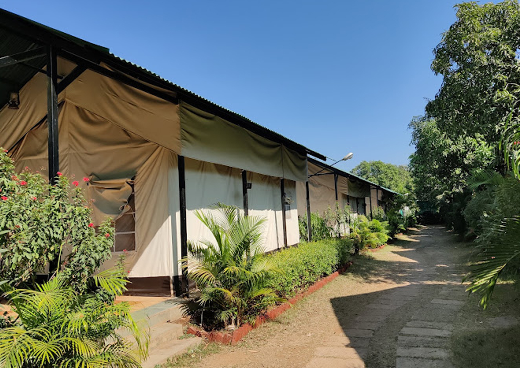 club-mahindra-resort-gir